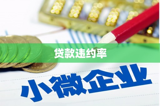 汉中贷款违约率