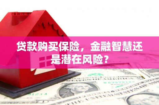 汉中贷款购买保险，金融智慧还是潜在风险？