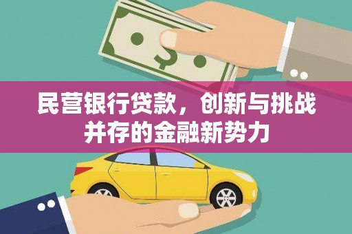 汉中民营银行贷款，创新与挑战并存的金融新势力