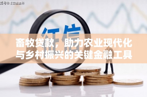 汉中畜牧贷款，助力农业现代化与乡村振兴的关键金融工具