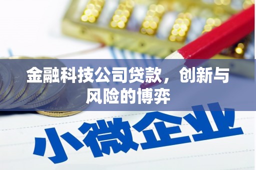 汉中金融科技公司贷款，创新与风险的博弈