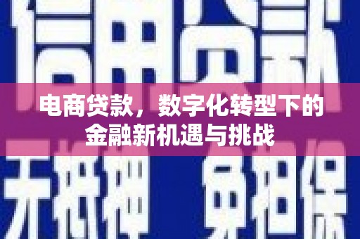 汉中电商贷款，数字化转型下的金融新机遇与挑战