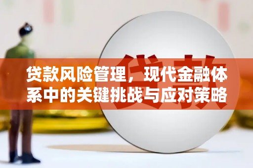 汉中贷款风险管理，现代金融体系中的关键挑战与应对策略