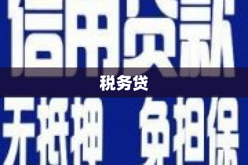汉中税务贷