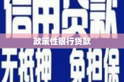汉中政策性银行贷款