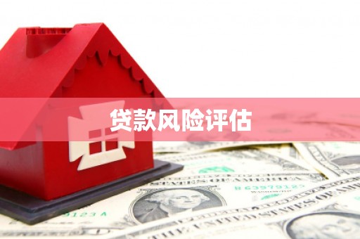 汉中贷款风险评估