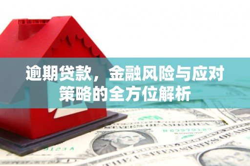 汉中逾期贷款，金融风险与应对策略的全方位解析