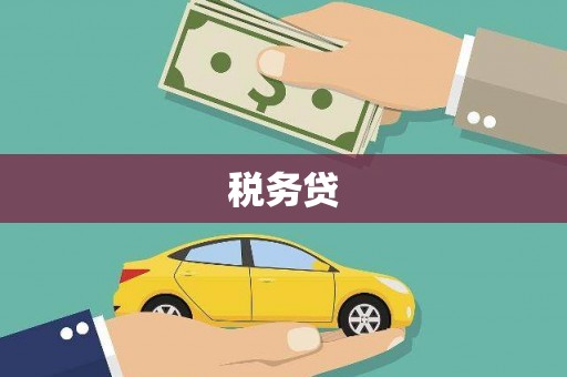 汉中税务贷