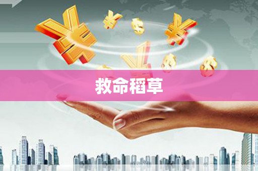 汉中救命稻草