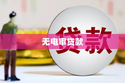 汉中无电审贷款