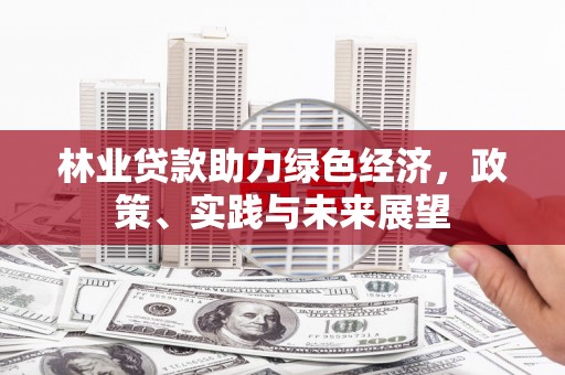 汉中林业贷款助力绿色经济，政策、实践与未来展望