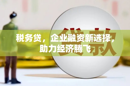 汉中税务贷，企业融资新选择，助力经济腾飞
