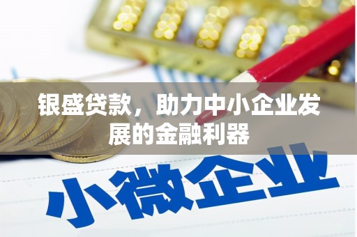 汉中银盛贷款，助力中小企业发展的金融利器