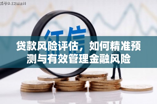 汉中贷款风险评估，如何精准预测与有效管理金融风险