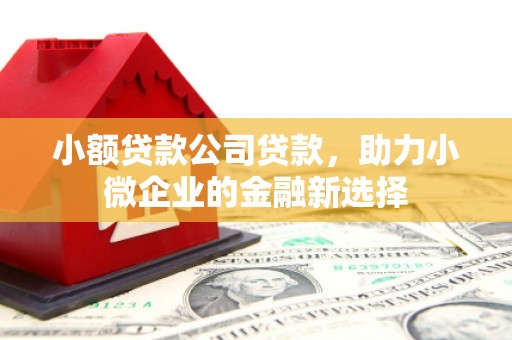 汉中小额贷款公司贷款，助力小微企业的金融新选择