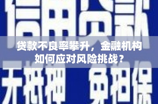 汉中贷款不良率攀升，金融机构如何应对风险挑战？