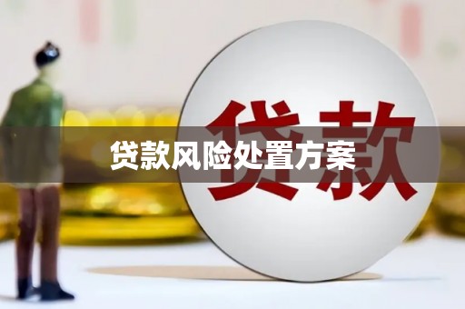 汉中贷款风险处置方案