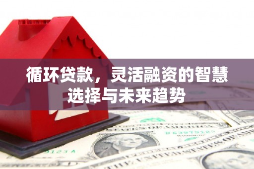 汉中循环贷款，灵活融资的智慧选择与未来趋势