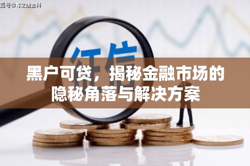 汉中黑户可贷，揭秘金融市场的隐秘角落与解决方案