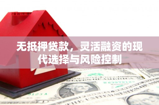 汉中无抵押贷款，灵活融资的现代选择与风险控制