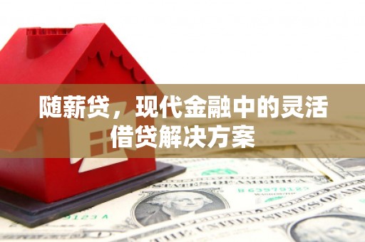汉中随薪贷，现代金融中的灵活借贷解决方案