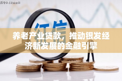 汉中养老产业贷款，推动银发经济新发展的金融引擎