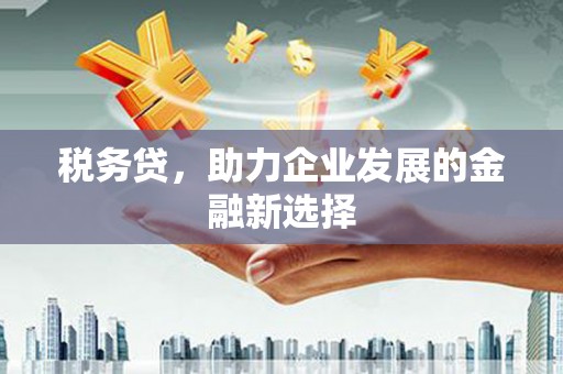 汉中税务贷，助力企业发展的金融新选择