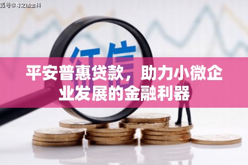 汉中平安普惠贷款，助力小微企业发展的金融利器