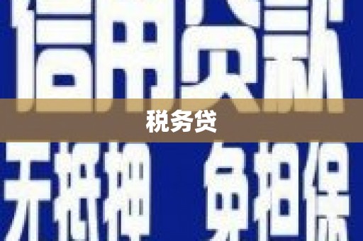 汉中税务贷