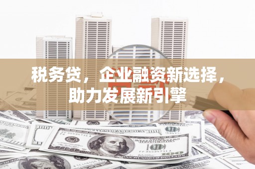 汉中税务贷，企业融资新选择，助力发展新引擎