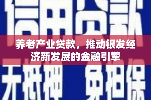 汉中养老产业贷款，推动银发经济新发展的金融引擎