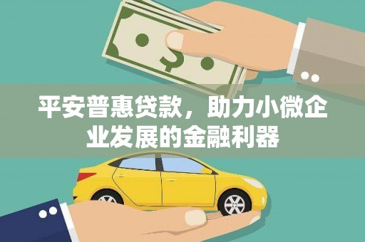 汉中平安普惠贷款，助力小微企业发展的金融利器