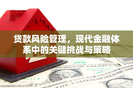 汉中贷款风险管理，现代金融体系中的关键挑战与策略
