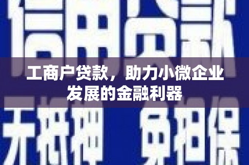 汉中工商户贷款，助力小微企业发展的金融利器