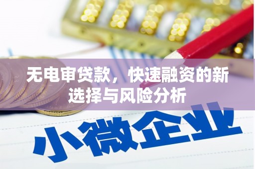 汉中无电审贷款，快速融资的新选择与风险分析