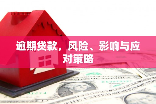 汉中逾期贷款，风险、影响与应对策略