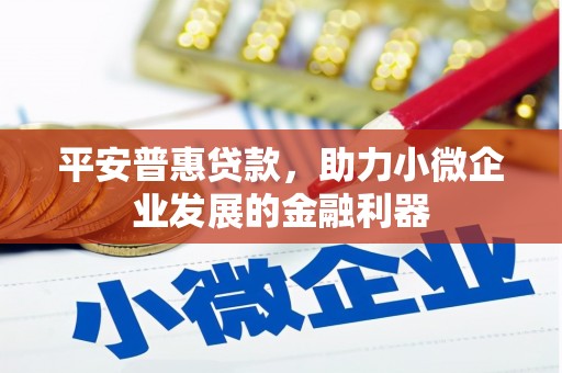 汉中平安普惠贷款，助力小微企业发展的金融利器