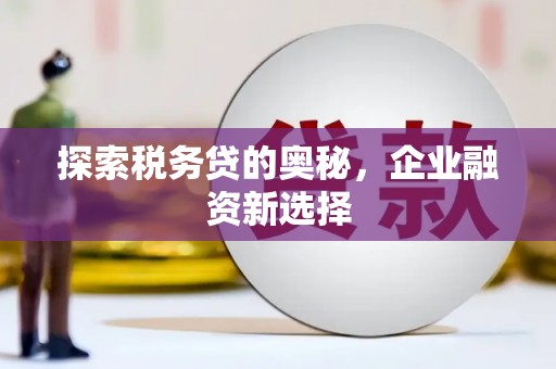 汉中探索税务贷的奥秘，企业融资新选择
