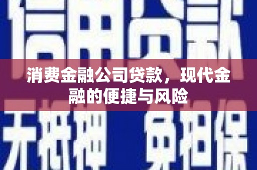 汉中消费金融公司贷款，现代金融的便捷与风险