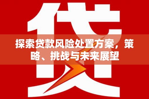 汉中探索贷款风险处置方案，策略、挑战与未来展望