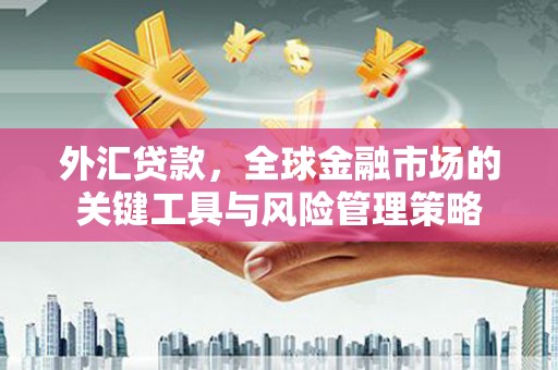 汉中外汇贷款，全球金融市场的关键工具与风险管理策略