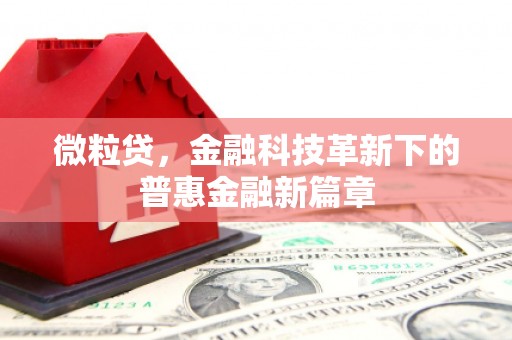 汉中微粒贷，金融科技革新下的普惠金融新篇章
