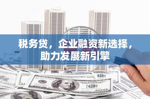 汉中税务贷，企业融资新选择，助力发展新引擎