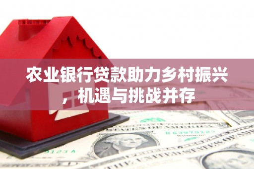 汉中农业银行贷款助力乡村振兴，机遇与挑战并存