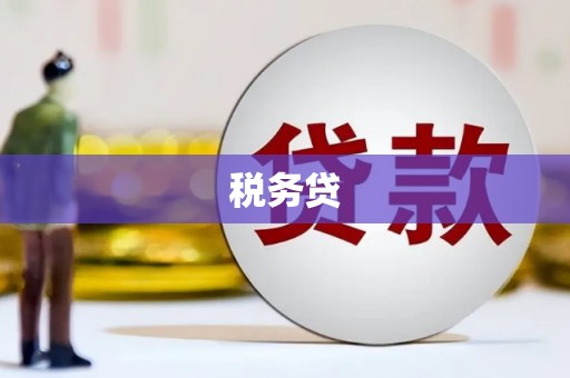 汉中税务贷