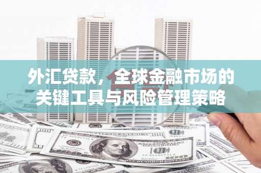 汉中外汇贷款，全球金融市场的关键工具与风险管理策略
