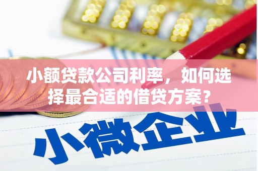 汉中小额贷款公司利率，如何选择最合适的借贷方案？