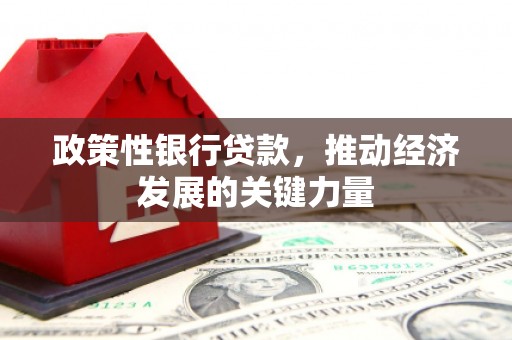 汉中政策性银行贷款，推动经济发展的关键力量