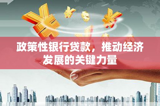 汉中政策性银行贷款，推动经济发展的关键力量