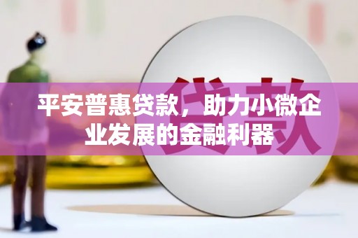 汉中平安普惠贷款，助力小微企业发展的金融利器